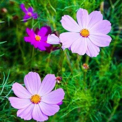 HTH登陆入口网页